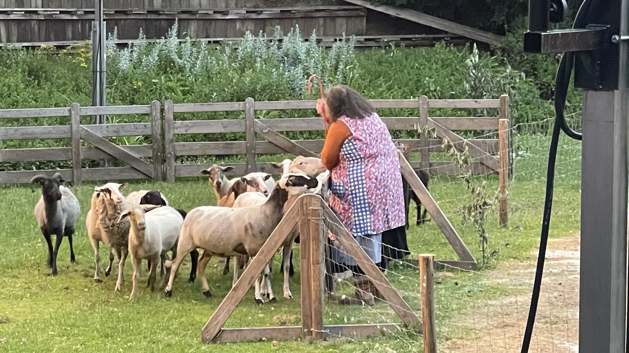 Donderbuien, Decor en de Dramaturgie
