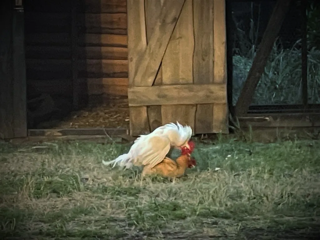 We zijn op de goede (Heel)weg